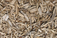 biomass boilers Norbiton